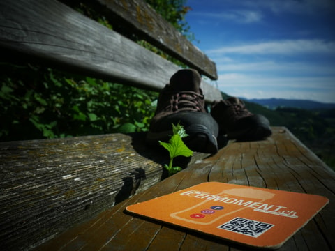 Aargauer Bierwanderung