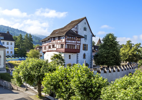 Nationalfeiertag im Museum Burg Zug