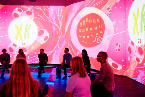 Sommerfest im Stapferhaus