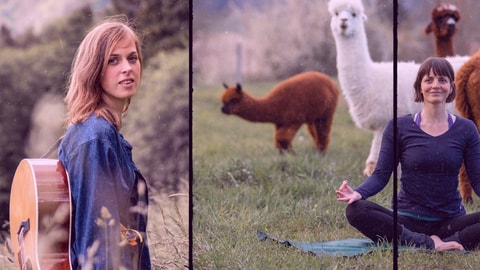 Yoga, Live Musik und mehr inmitten von Alpakas
