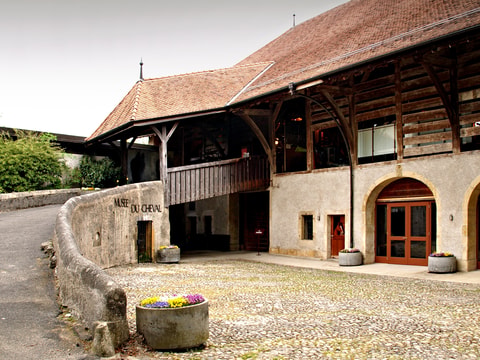 Musée du Cheval