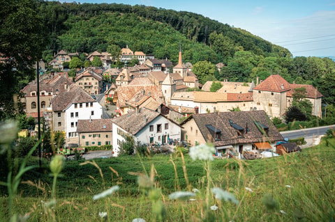 Vom Feld auf’s Teller