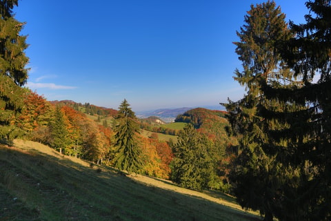 Jurahöhen-Beizen-Tour