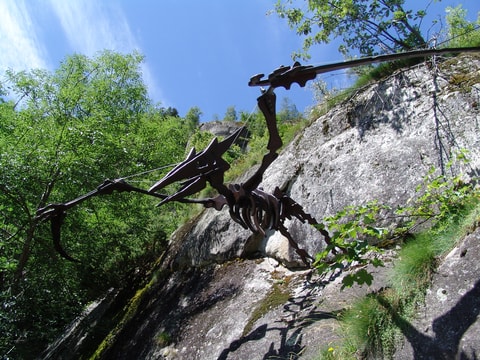 Saurier-Trail