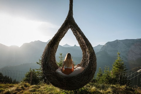 SkyNest am VogellisiBerg