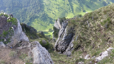 Bärenpfad