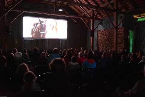 Sihlwald Kino