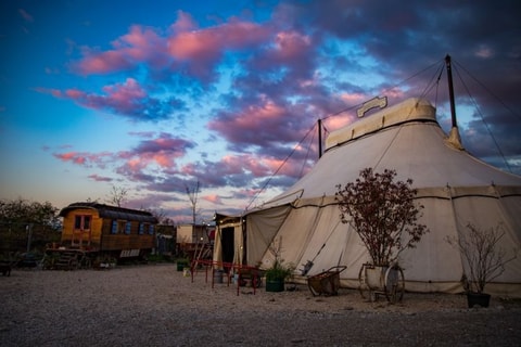 Jeudi Cirque