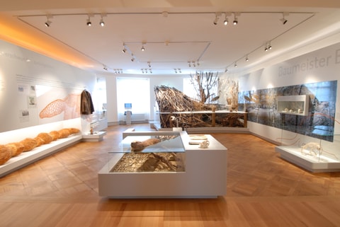 Nationaler Tag der naturhistorischen Sammlungen