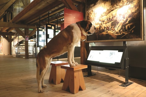 Walliser Nacht der Museen im Barryland – abgesagt
