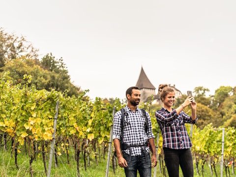 Weinweg Weinfelden