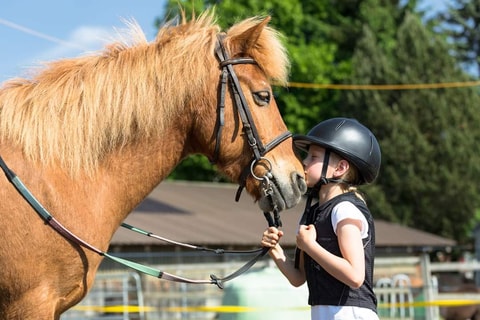 Ferienkurse und Geburtstagsfeste auf dem Ponyhof