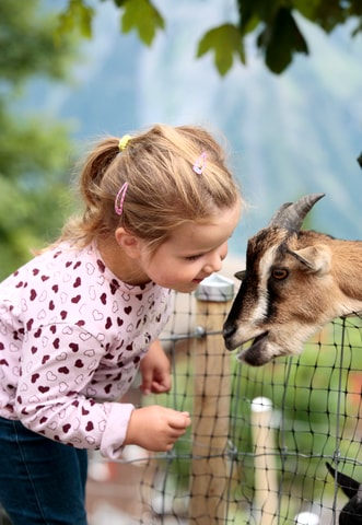 Tierliparcours in Braunwald