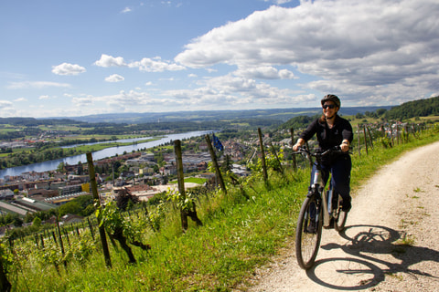 Mit dem Velo durch das Zurzibiet