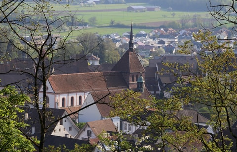 Verenamünster