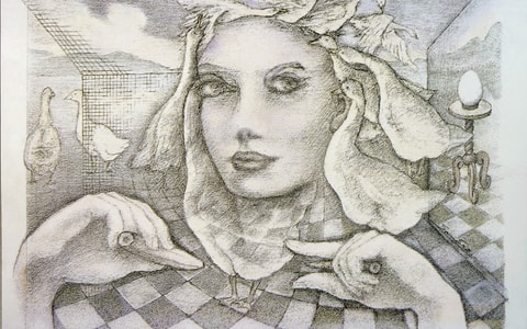 Illusoria-Land