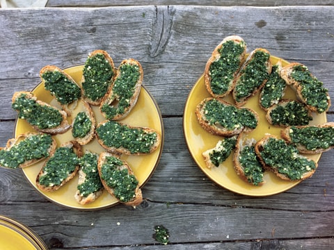Wildpflanzen sammeln und kochen