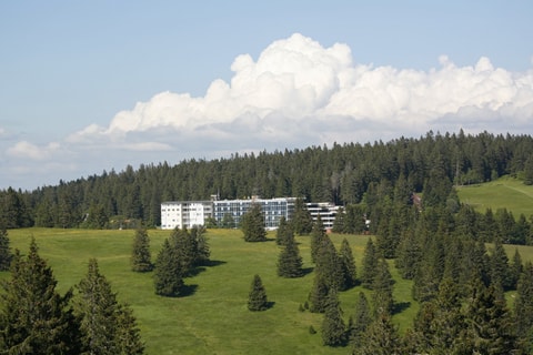 Feldberger Hof