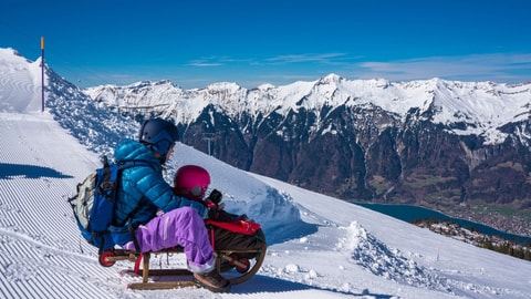 Schlittelspass auf der Axalp