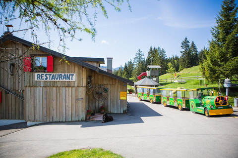La Cabane du Petit Oiseau