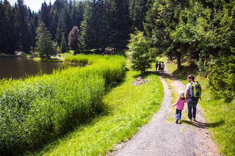 Lac des Joncs