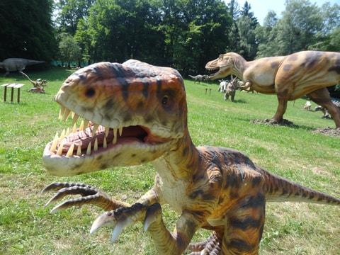 World of Dinosaurs