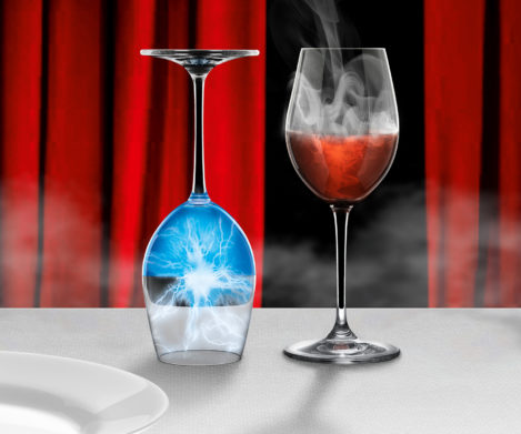 In Vino Scientia
