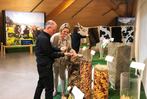 Vom Gras zur Milch - geschlossen