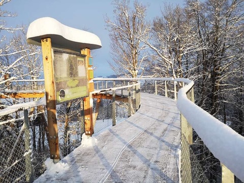 Racletteplausch auf dem Baumwipfelpfad – abgesagt