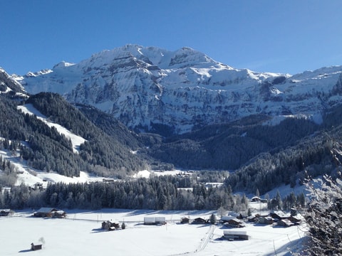 Lenk Unplugged