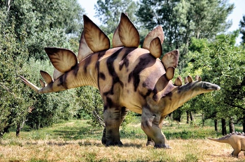 World of Dinosaurs 2026