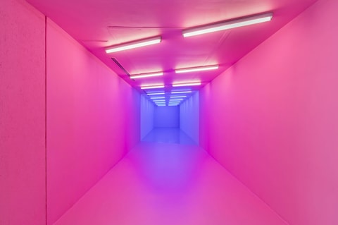 Ausstellungen Kapwani Kiwanga und Daniel Zimmermann - g...