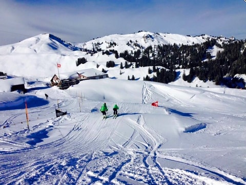 Skicross Parks