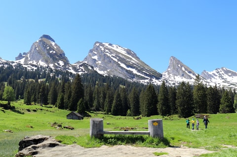 Churfirsten Panorama-Wanderung
