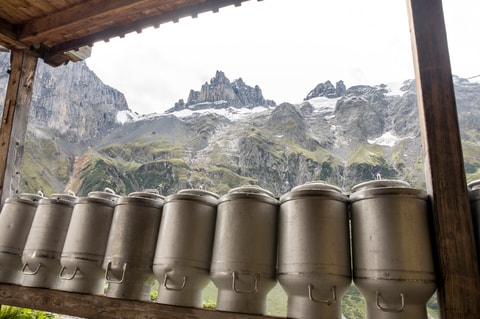 Alpkäse-Trail Engelberg