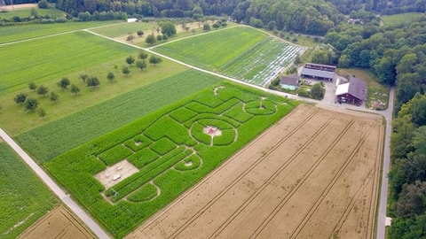 Mathishof - Maislabyrinth und Kürbismarkt