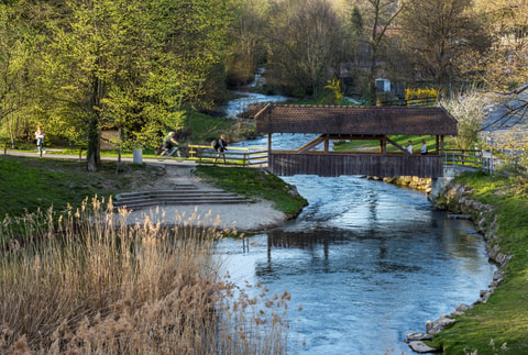 Wanderung entlang der Alten Aare