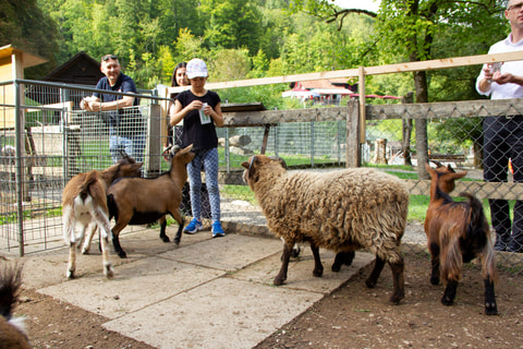 Tierpark Bad Zurzach