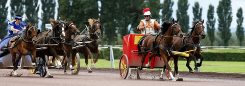 Equus Helveticus