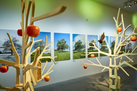 Ausstellung "Der Apfel"