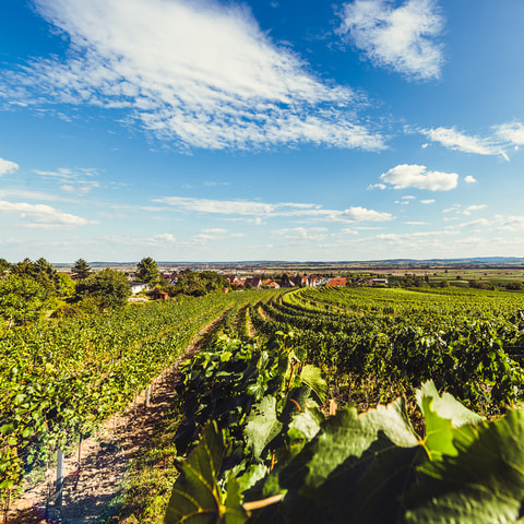 Verkostung Eisenberg und Leithaberg DAC im Smith and De...