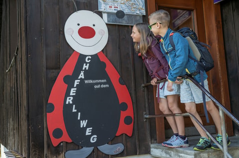 Chäferliweg Illgau