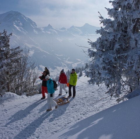 Winterwandern am VogellisiBerg