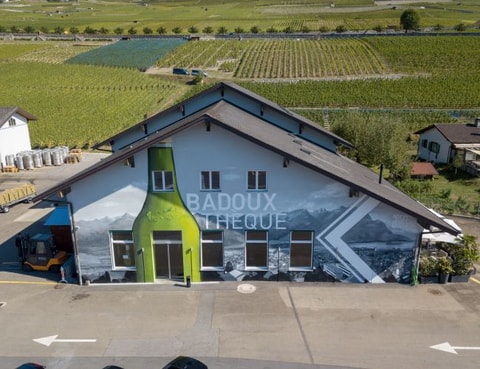BadouxThèque