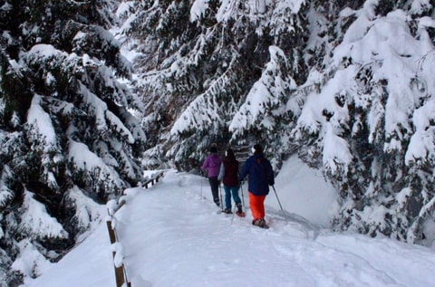 Schneeschuhtour durch die Suonen