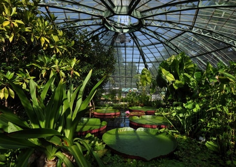 Botanischer Garten der Universität Basel