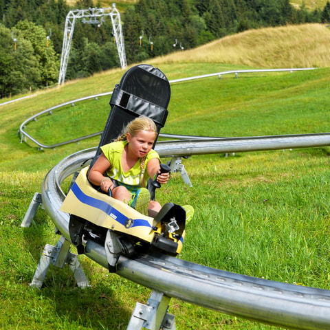 Sommer-Rodelbahn Schwarzsee