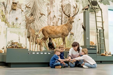 Naturmuseum St. Gallen