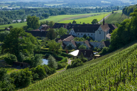 Kunstmuseum Thurgau und Ittinger Museum