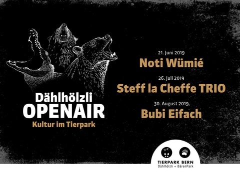 Dählhölzi Openair